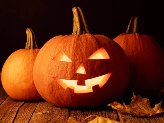 Orígenes de Halloween y eventos locales en Calgary