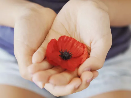 The Significance of Remembrance Day in Canada