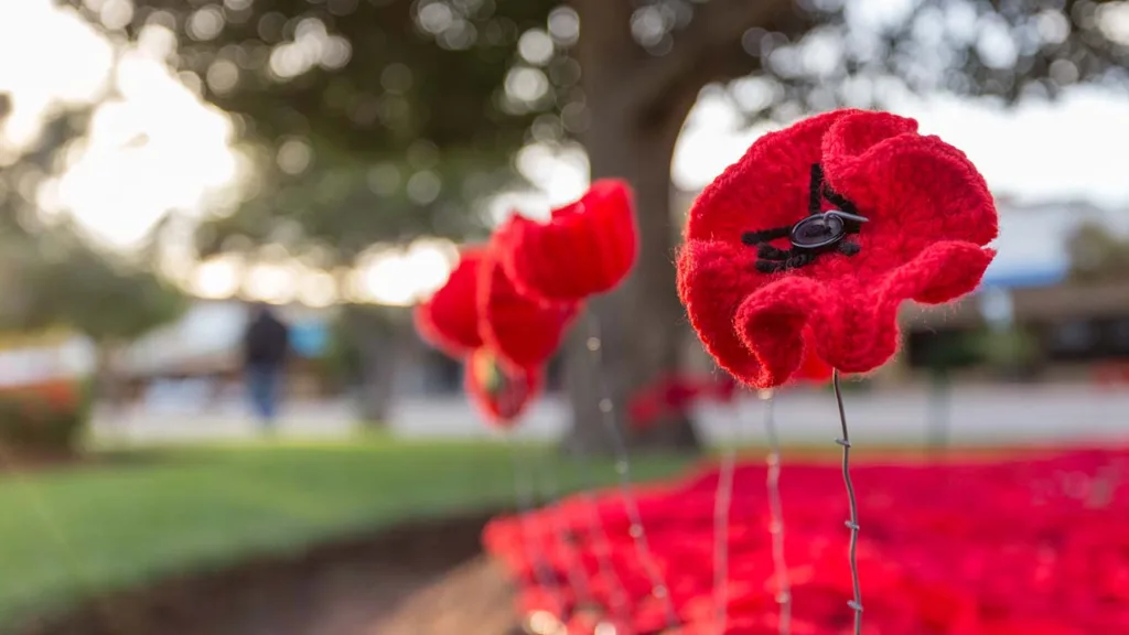 Understanding Canadian Remembrance Day