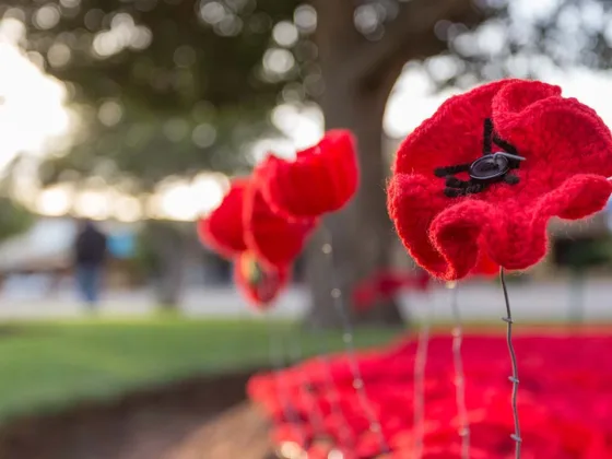 Understanding Canadian Remembrance Day