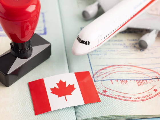 Eight Common Seen Honest Mistakes Found in Citizenship Grant Application