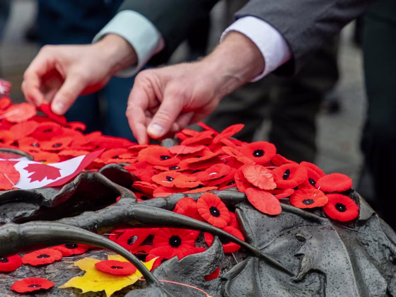 陣亡將士紀念日之紅色罌粟花背後的故事